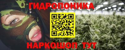 спиды Пугачёв