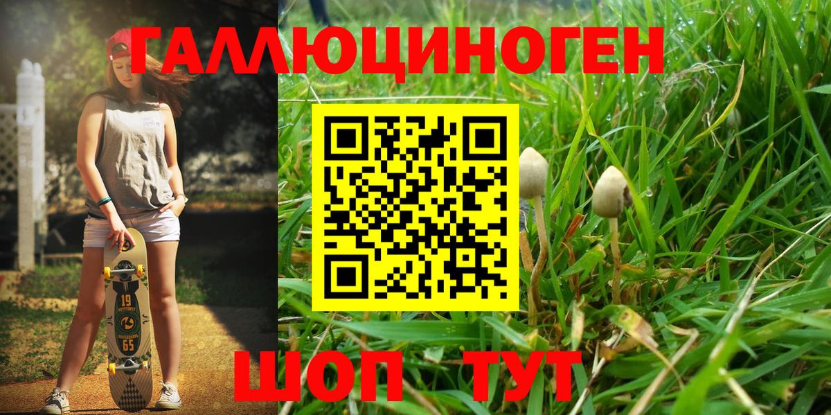 Псилоцибиновые грибы Psilocybe  Вход с VPN  Саранск 